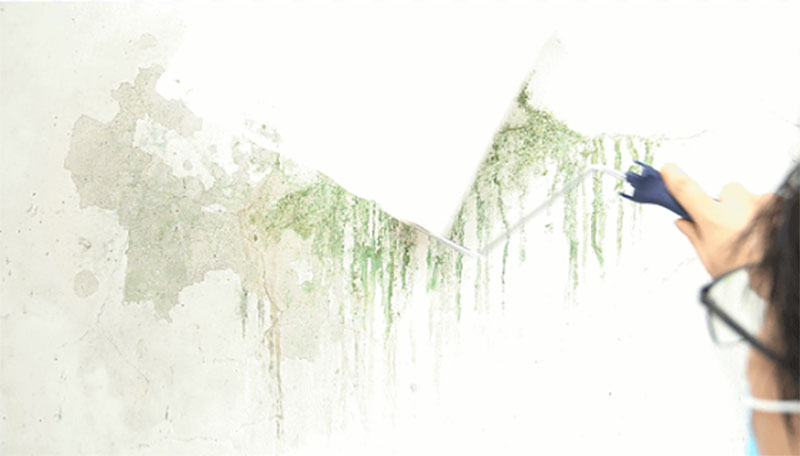 永利集团·yl(中国游)官方网站