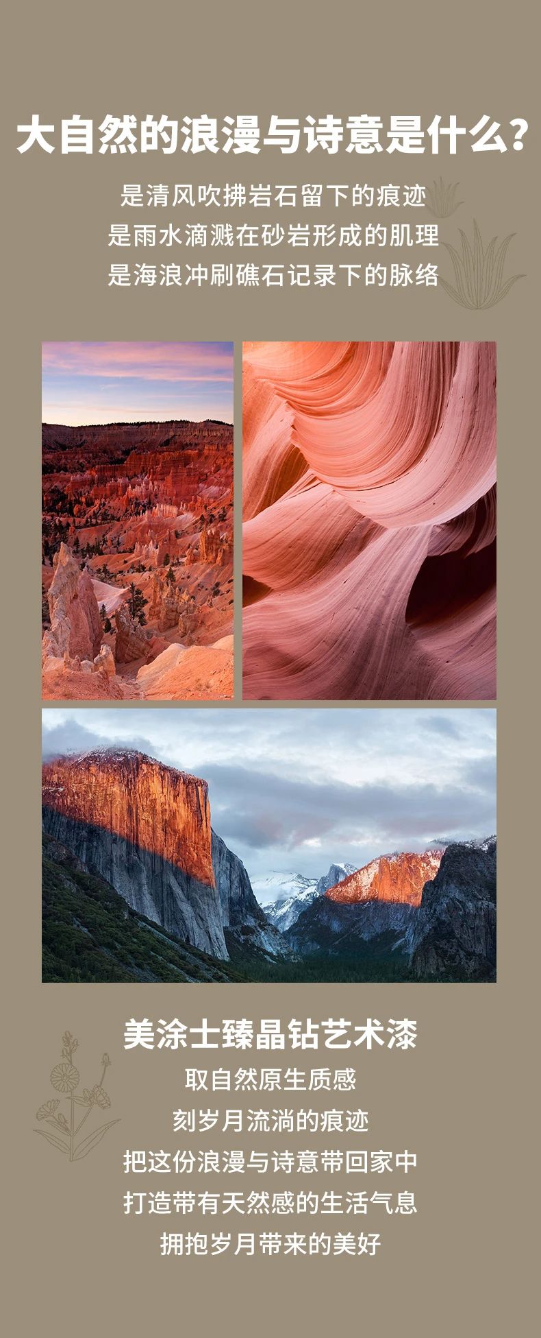 永利集团·yl(中国游)官方网站